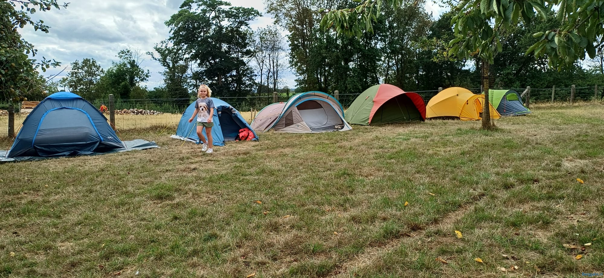 IMG-20260830-WA0065